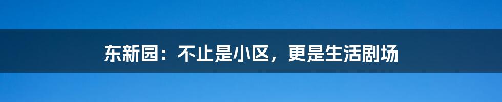 东新园:不止是小区,更是生活剧场