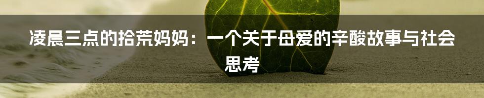 凌晨三点的拾荒妈妈：一个关于母爱的辛酸故事与社会思考