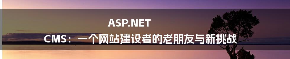 ASP.NET CMS：一个网站建设者的老朋友与新挑战