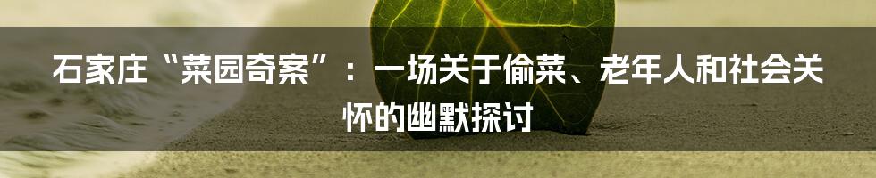 石家庄“菜园奇案”：一场关于偷菜、老年人和社会关怀的幽默探讨