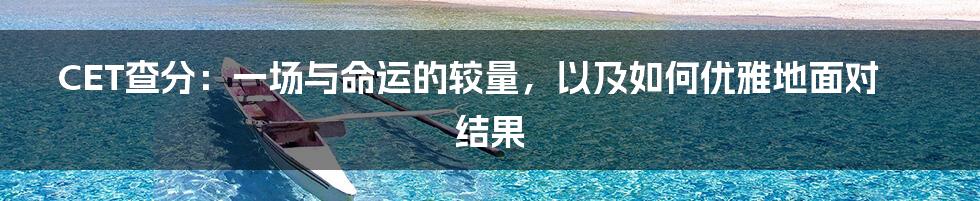CET查分：一场与命运的较量，以及如何优雅地面对结果