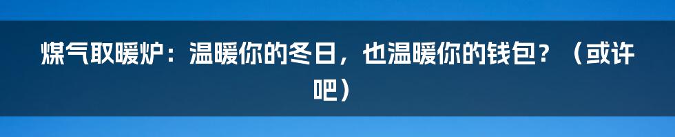 煤气取暖炉：温暖你的冬日，也温暖你的钱包？（或许吧）