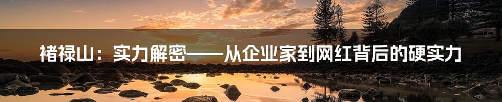 褚禄山:实力解密——从企业家到网红背后的硬实力