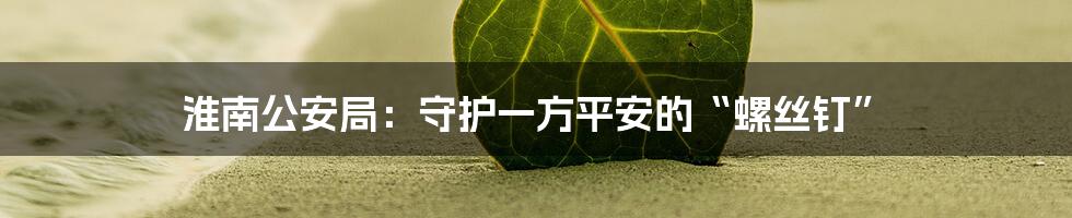 淮南公安局：守护一方平安的“螺丝钉”