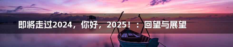 即将走过2024，你好，2025！：回望与展望