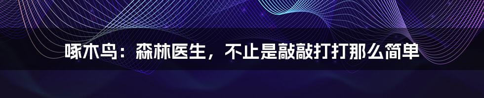 啄木鸟：森林医生，不止是敲敲打打那么简单