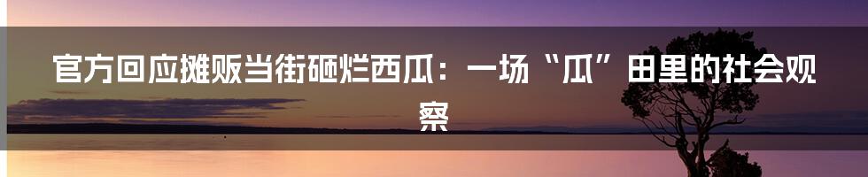 官方回应摊贩当街砸烂西瓜：一场“瓜”田里的社会观察