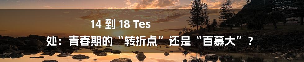 14 到 18 Tes 处：青春期的“转折点”还是“百慕大”？