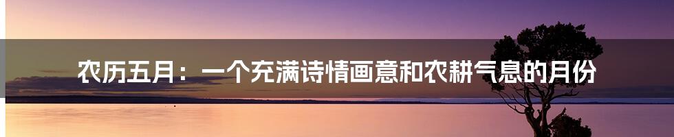 农历五月：一个充满诗情画意和农耕气息的月份