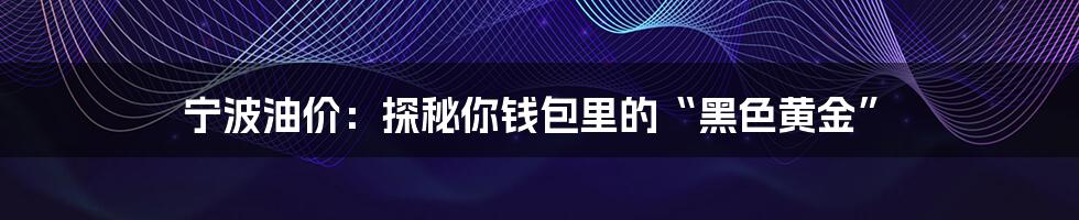 宁波油价:探秘你钱包里的“黑色黄金”
