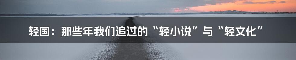 轻国：那些年我们追过的“轻小说”与“轻文化”