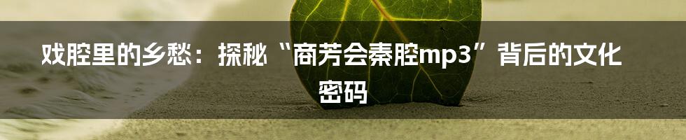 戏腔里的乡愁:探秘“商芳会秦腔mp3”背后的文化密码