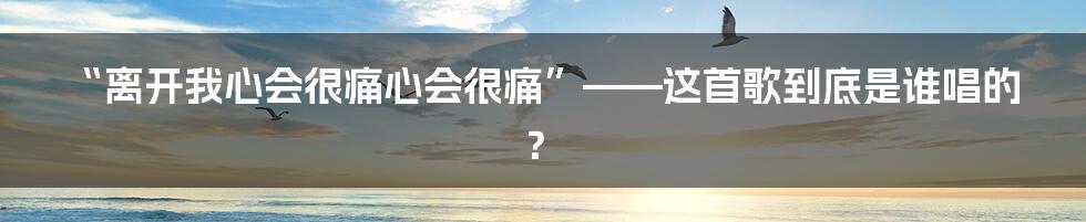 “离开我心会很痛心会很痛”——这首歌到底是谁唱的？