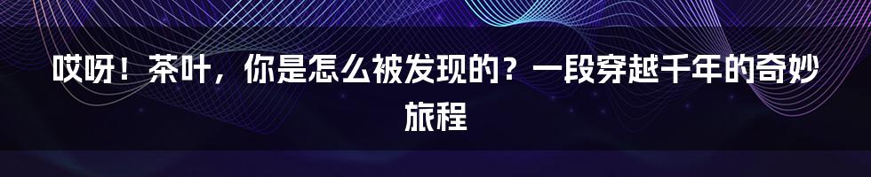 哎呀！茶叶，你是怎么被发现的？一段穿越千年的奇妙旅程