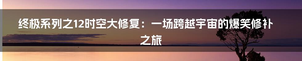 终极系列之12时空大修复：一场跨越宇宙的爆笑修补之旅