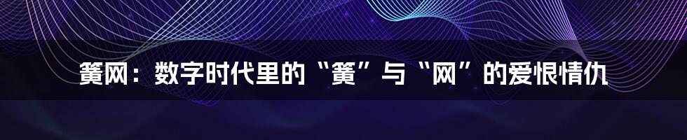 簧网：数字时代里的“簧”与“网”的爱恨情仇