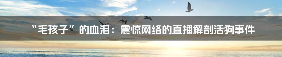 “毛孩子”的血泪：震惊网络的直播解剖活狗事件