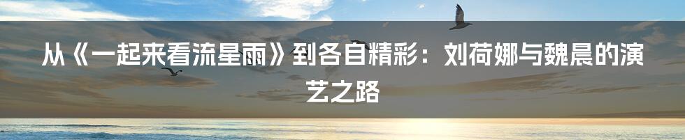 从《一起来看流星雨》到各自精彩：刘荷娜与魏晨的演艺之路