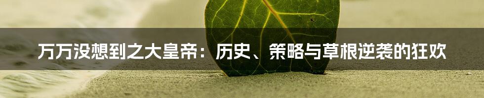 万万没想到之大皇帝：历史、策略与草根逆袭的狂欢