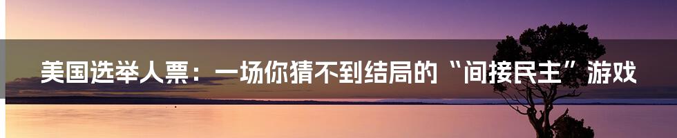 美国选举人票：一场你猜不到结局的“间接民主”游戏