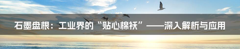 石墨盘根：工业界的“贴心棉袄”——深入解析与应用