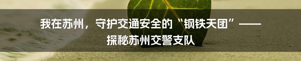 我在苏州，守护交通安全的“钢铁天团”—— 探秘苏州交警支队
