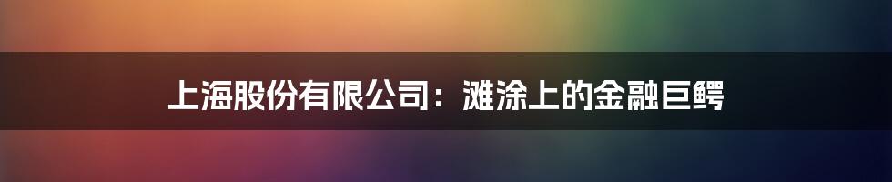 上海股份有限公司:滩涂上的金融巨鳄
