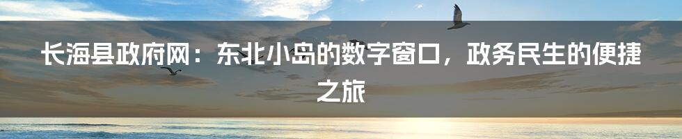 长海县政府网：东北小岛的数字窗口，政务民生的便捷之旅