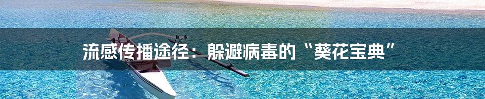 流感传播途径：躲避病毒的“葵花宝典”