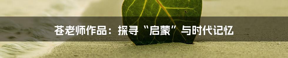 苍老师作品:探寻“启蒙”与时代记忆