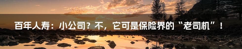 百年人寿:小公司?不,它可是保险界的“老司机”!