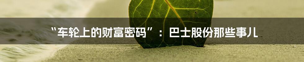 “车轮上的财富密码”:巴士股份那些事儿