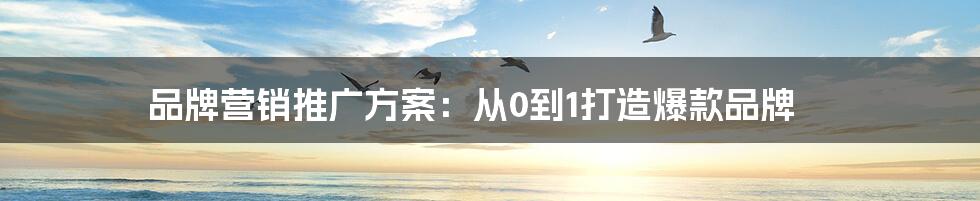 品牌营销推广方案:从0到1打造爆款品牌