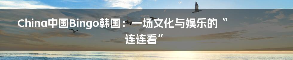 China中国Bingo韩国：一场文化与娱乐的“连连看”