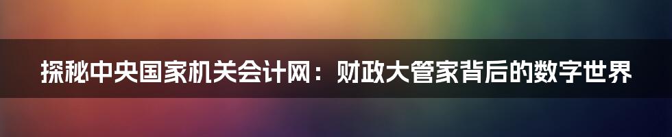 探秘中央国家机关会计网：财政大管家背后的数字世界