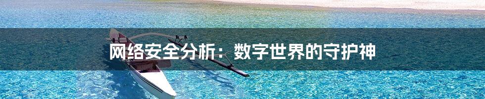 网络安全分析：数字世界的守护神