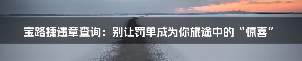 宝路捷违章查询：别让罚单成为你旅途中的“惊喜”
