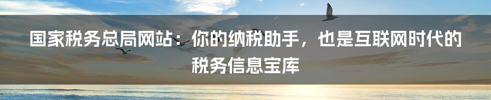 国家税务总局网站：你的纳税助手，也是互联网时代的税务信息宝库