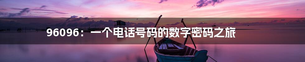 96096：一个电话号码的数字密码之旅