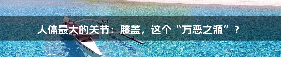 人体最大的关节：膝盖，这个“万恶之源”？