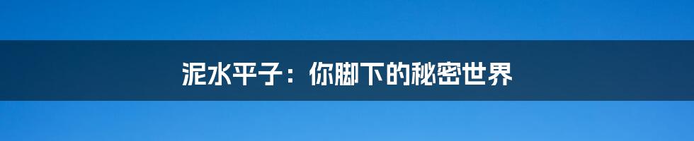 泥水平子：你脚下的秘密世界