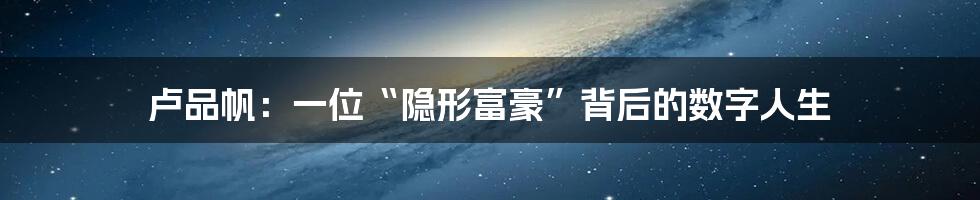 卢品帆：一位“隐形富豪”背后的数字人生