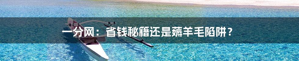 一分网:省钱秘籍还是薅羊毛陷阱?