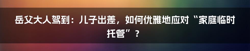岳父大人驾到:儿子出差,如何优雅地应对“家庭临时托管”?