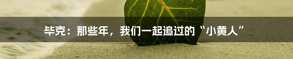 毕克:那些年,我们一起追过的“小黄人”