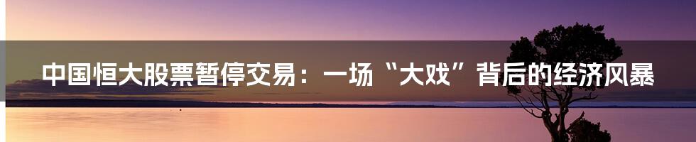 中国恒大股票暂停交易:一场“大戏”背后的经济风暴