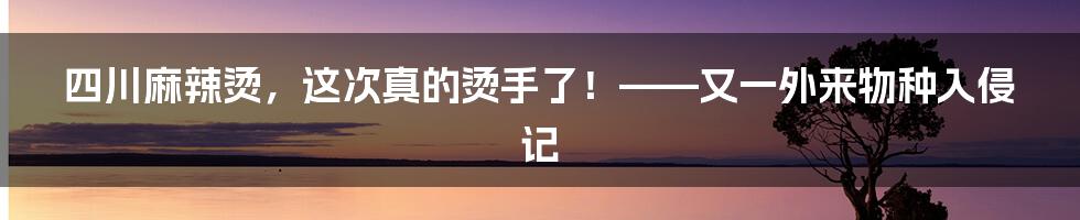 四川麻辣烫，这次真的烫手了！——又一外来物种入侵记