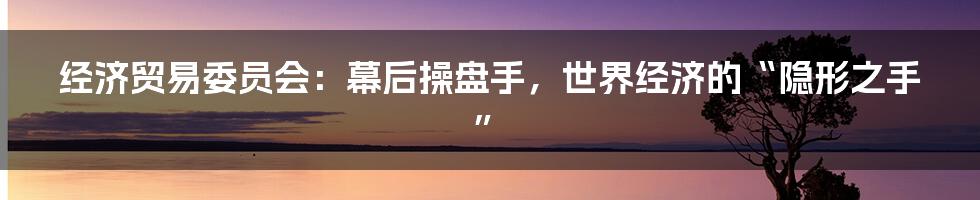 经济贸易委员会：幕后操盘手，世界经济的“隐形之手”