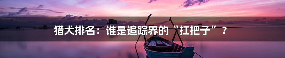 猎犬排名：谁是追踪界的“扛把子”？