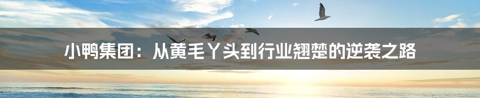小鸭集团：从黄毛丫头到行业翘楚的逆袭之路